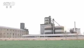 紅水澆地觸目驚心 用污水灌溉的小麥被賣(mài)往面粉廠后去向不明