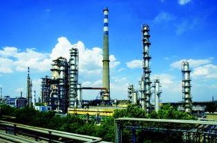 污水池里魚兒活蹦跳？化工廢水治理的真相與挑戰(zhàn)